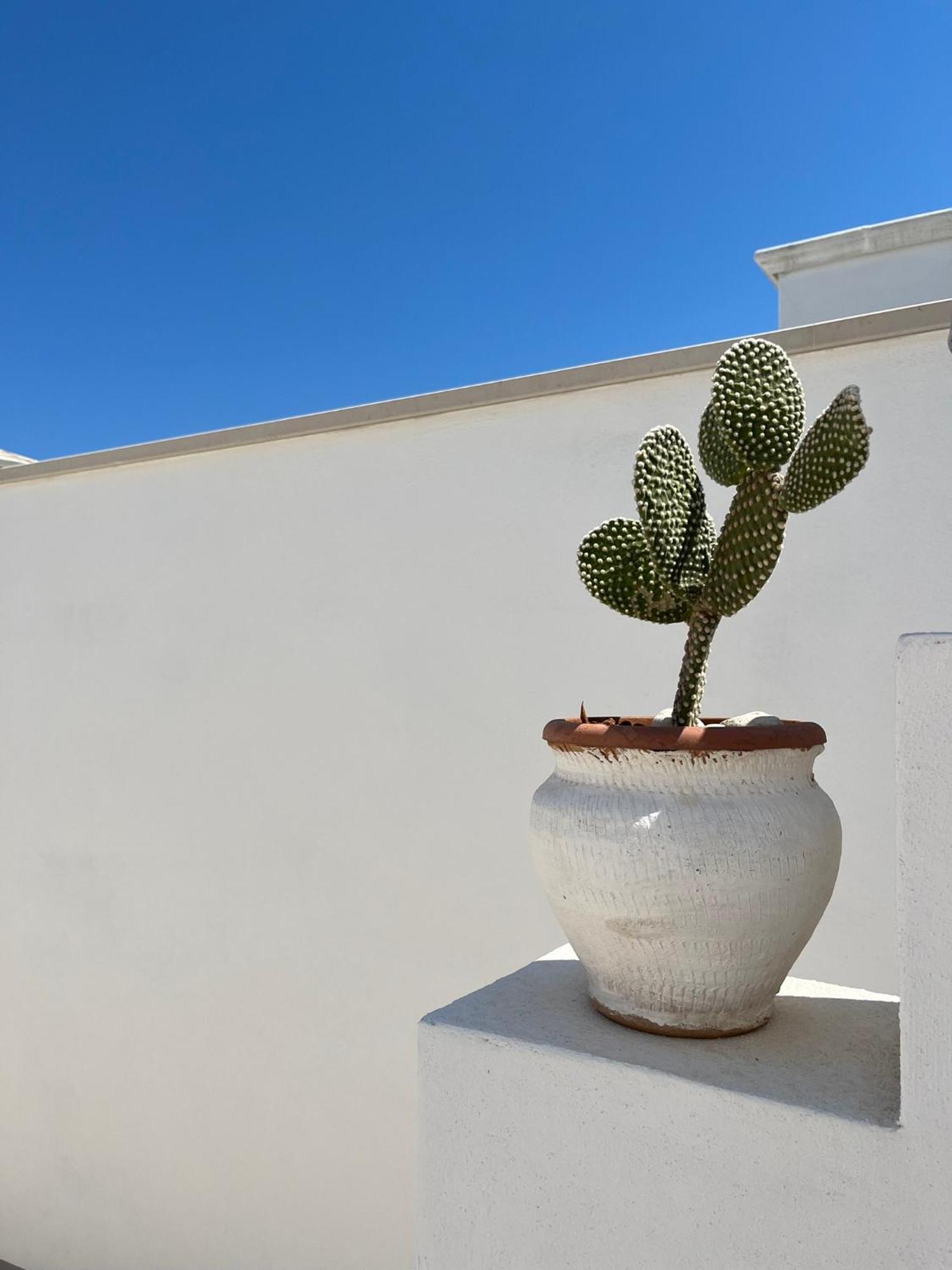 El-Mar Locazione Turistica House With Exclusive Terrace Apartment Polignano a Mare Exterior photo